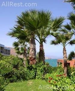 Arina Sand Hotel Beach Club 4